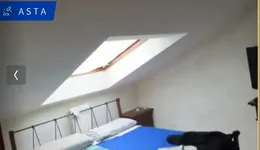 Aste giudiziarie immobiliari online - 10.0