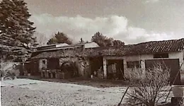Aste giudiziarie immobiliari online - 6.0