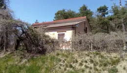Aste giudiziarie immobiliari online - 7.0
