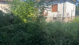 Aste giudiziarie immobiliari online - 1.0