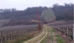 Aste giudiziarie immobiliari online - 5.0