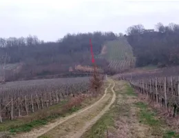 Aste giudiziarie immobiliari online - 6.0