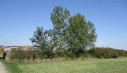 Aste giudiziarie immobiliari online - 4.0