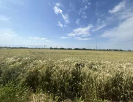 Aste giudiziarie immobiliari online - 3.0