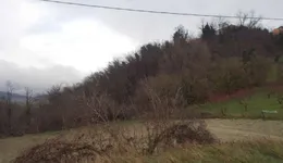 Aste giudiziarie immobiliari online - 5.0