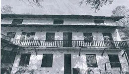 Aste giudiziarie immobiliari online - 8.0