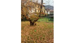 Aste giudiziarie immobiliari online - 6.0