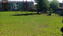 Aste giudiziarie immobiliari online - 6.0