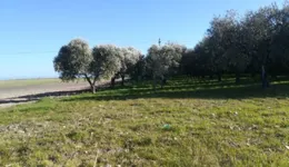 Aste giudiziarie immobiliari online - 3.0