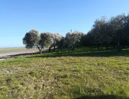 Aste giudiziarie immobiliari online - 3.0