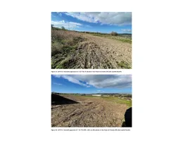 Aste giudiziarie immobiliari online - 9.0