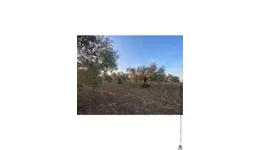 Aste giudiziarie immobiliari online - 6.0