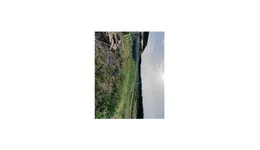 Aste giudiziarie immobiliari online - 3.0