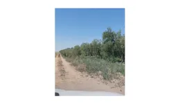 Aste giudiziarie immobiliari online - 12.0