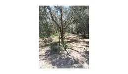 Aste giudiziarie immobiliari online - 2.0