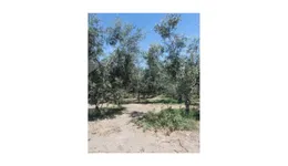 Aste giudiziarie immobiliari online - 3.0