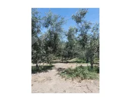 Aste giudiziarie immobiliari online - 2.0