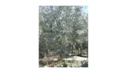 Aste giudiziarie immobiliari online - 4.0