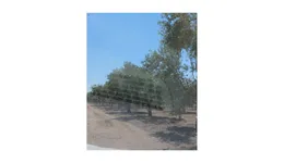 Aste giudiziarie immobiliari online - 5.0