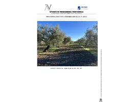 Aste giudiziarie immobiliari online - 4.0