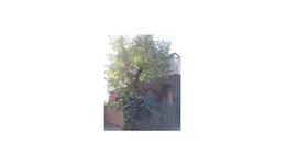 Aste giudiziarie immobiliari online - 9.0