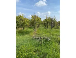 Aste giudiziarie immobiliari online - 11.0