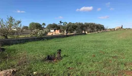 Aste giudiziarie immobiliari online - 3.0