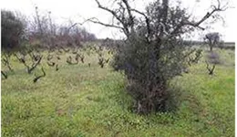 Aste giudiziarie immobiliari online - 5.0