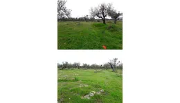 Aste giudiziarie immobiliari online - 6.0