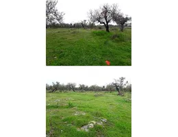 Aste giudiziarie immobiliari online - 5.0