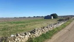 Aste giudiziarie immobiliari online - 11.0