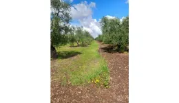 Aste giudiziarie immobiliari online - 10.0