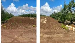 Aste giudiziarie immobiliari online - 11.0