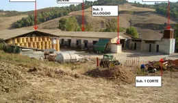 Aste giudiziarie immobiliari online - 7.0