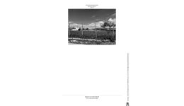 Aste giudiziarie immobiliari online - 7.0