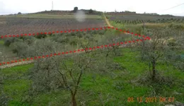 Aste giudiziarie immobiliari online - 10.0