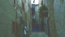 Aste giudiziarie immobiliari online - 8.0