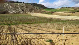 Aste giudiziarie immobiliari online - 2.0