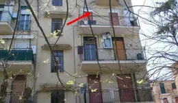 Aste giudiziarie immobiliari online - 10.0