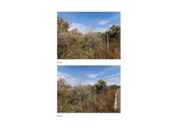 Aste giudiziarie immobiliari online - 6.0