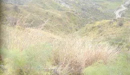 Aste giudiziarie immobiliari online - 11.0