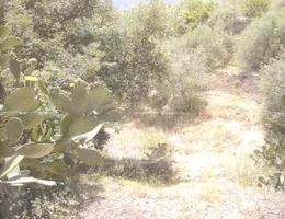 Aste giudiziarie immobiliari online - 10.0