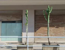 Aste giudiziarie immobiliari online - 6.0