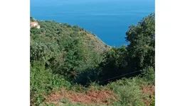 Aste giudiziarie immobiliari online - 7.0