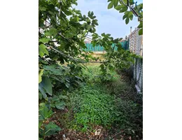 Aste giudiziarie immobiliari online - 12.0