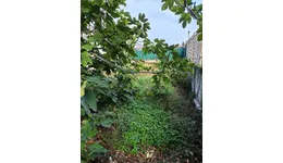 Aste giudiziarie immobiliari online - 3.0