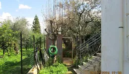 Aste giudiziarie immobiliari online - 11.0