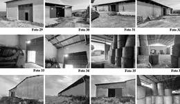 Aste giudiziarie immobiliari online - 11.0