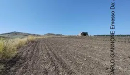 Aste giudiziarie immobiliari online - 5.0