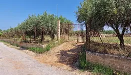 Aste giudiziarie immobiliari online - 6.0